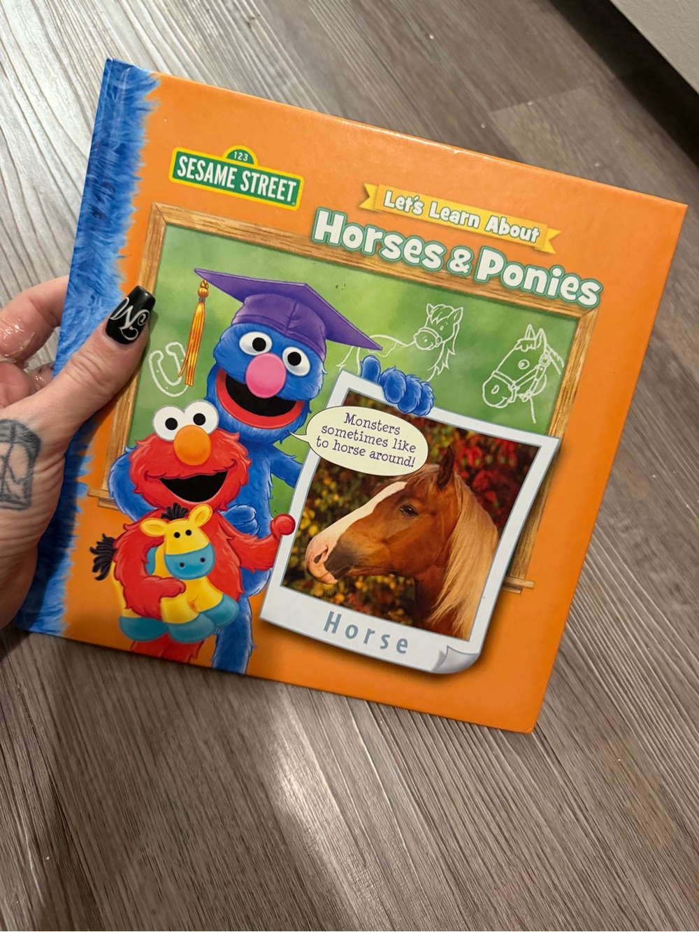 Sesame Street Horses & Ponies Book